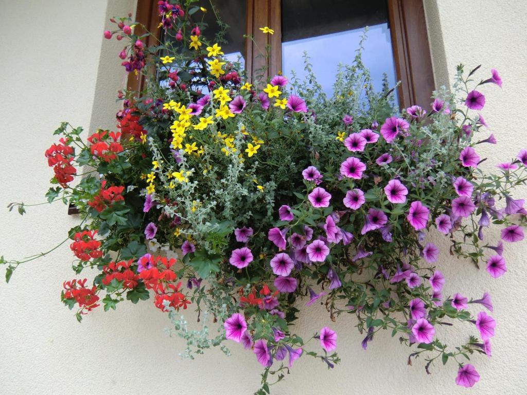 Haus Rye B&B Obertraun Cameră foto